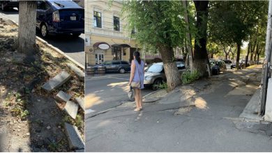 Photo of Primăria, despre defrișările din centrul capitalei: „Unii arbori sunt în stare de putrefacție: Vor fi plantați copaci tineri”