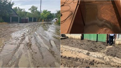 Photo of foto | Grădini inundate, animale ucise și străzi pline de nămol. O localitate din țară, grav afectată în urma ploilor puternice