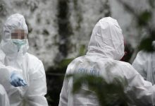 Photo of Cadavrul unui moldovean, găsit într-un râu din Portugalia. Bărbatul nu avea mâini