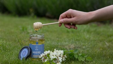 Photo of foto | Regina Naturii – primul magazin online cu miere 100% naturală, livrată direct la ușă! Porția ta de sănătate la doar un click distanță