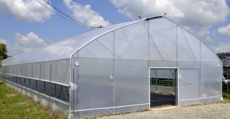 Photo of foto | A construit o seră, iar acum riscă cinci ani de pușcărie. Ce au depistat oamenii legii în gospodăria unei femei din Cahul?