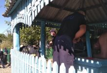 Photo of foto | Trei persoane, salvate dintr-o fântână adâncă de 15 metri la Soroca. Au rămas blocate în nămol