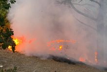 Photo of foto, video | Imagini dramatice la Ciocana! Un incendiu de vegetație uscată a izbucnit într-un parc