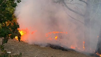 Photo of foto, video | Imagini dramatice la Ciocana! Un incendiu de vegetație uscată a izbucnit într-un parc