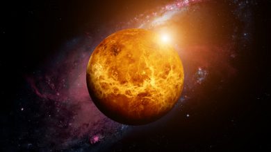 Photo of Pe Venus ar exista viață? Descoperirea uimitoare făcută de oamenii de știință