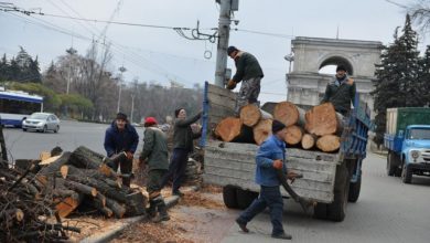 Photo of doc | Primăria va oferi lemne de foc familiilor vulnerabile din municipiul Chișinău. Cine poate beneficia de ajutor?