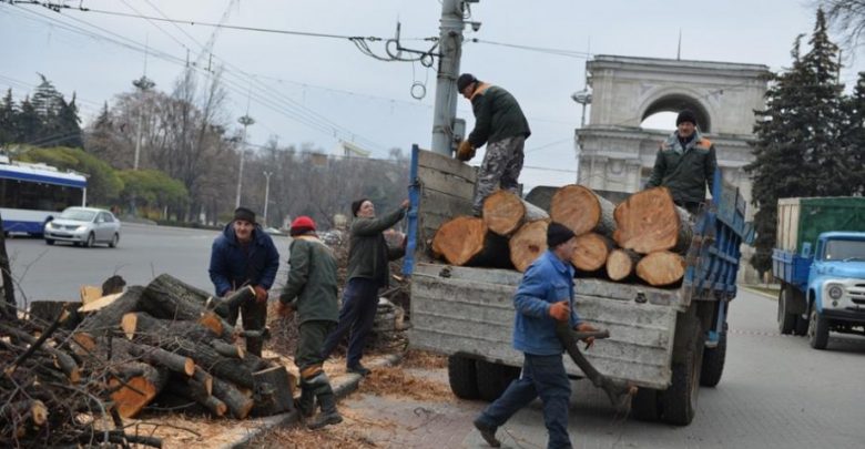 Photo of doc | Primăria va oferi lemne de foc familiilor vulnerabile din municipiul Chișinău. Cine poate beneficia de ajutor?
