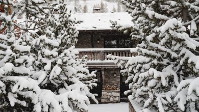 Photo of A venit iarna în septembrie! Țările unde a căzut cea mai abundentă ninsoare din ultimii 15 ani