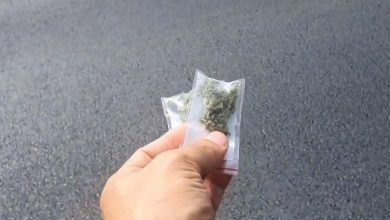 Photo of video | „A plouat” cu marijuana desupra Tel Avivului. Curioșii s-au grăbit să strângă cât mai multe punguțe cu canabis