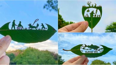 Photo of foto | „Spune” povești pe frunze. Creațiile impresionante realizate de un artist japonez care suferă de ADHD