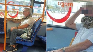 Photo of Un britanic se protejează de COVID-19 cu un… șarpe? Bărbatul, surprins în autobuz cu reptila înfășurată în jurul gurii