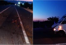Photo of foto | Un șofer a intrat cu mașina într-o turmă de oi la Ialoveni. Șase animale au fost traumatizate, iar 19 nu au supraviețuit