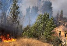 Photo of Los Angeles s-a confruntat ieri cu cea mai ridicată temperatură din istorie. Avertismentul ecologiștilor