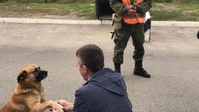 Photo of video | Experiența lui Chirtoacă în Transnistria: S-a pornit să discute cu alegătorii, dar l-a întâmpinat numai Rîjik
