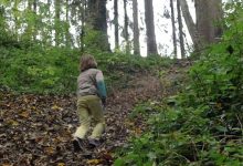 Photo of A mers să culeagă ciuperci și s-a făcut nevăzut. Un copil, căutat timp de mai multe ore într-o pădure din Șoldănești