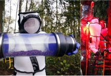 Photo of foto | Operațiune ca în filmele de ficțiune. Sute de viespi ucigașe au fost prinse de biologi în costume speciale