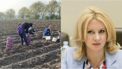 Photo of Violeta Ivanov se angajează ca, în calitate de președintă, să nu permită recoltei să putrezească pe câmpuri: Statul trebuie să susțină producătorul autohton