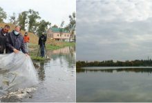 Photo of foto | Lacul „La Izvor”, mai bogat cu 3,5 tone de pește