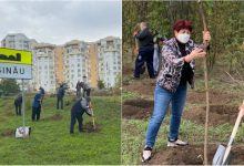 Photo of Orașul nostru a devenit mai verde! 12.000 de arbori, sădiți astăzi în toate sectoarele capitalei