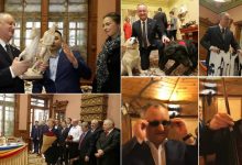 Photo of doc, foto | De la ochelari cu ramă din aur până la fotografia cu Putin. Lista cadourilor primite de Igor Dodon în patru ani de mandat