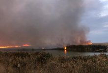 Photo of video | Circa 700 de hectare din Delta Dunării au fost cuprinse de flăcări. Pompierii luptă de câteva zile cu focul