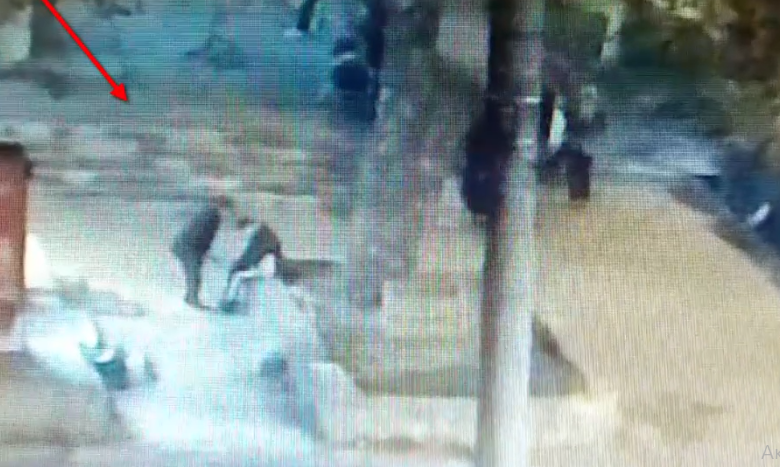 Photo of video | S-a apropiat, l-a smuls din mână și a fugit. Momentul în care un tânăr este deposedat de telefonul mobil în plină stradă