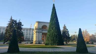 Photo of foto | Atmosfera sărbătorilor de iarnă cuprinde capitala. Pomul de Crăciun a fost instalat în scuarul Catedralei