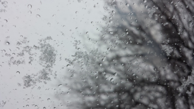 Photo of meteo | Iarna își intră în drepturi. Meteorologii anunță primii fulgi în nordul republicii