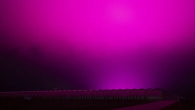 Photo of foto, video | Cerul a devenit brusc violet. Cum se explică straniul fenomen