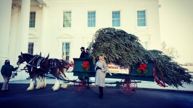 Photo of video | Urmează ultimul Crăciun al soților Trump la Casa Albă! Prima doamnă a SUA a întâmpinat bradul care va fi împodobit la reședința prezidențială