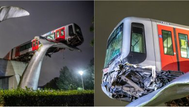 Photo of foto | Un tren, suspendat la 10 metri înălțime în sculptura unei cozi de balenă. Cum s-a întâmplat