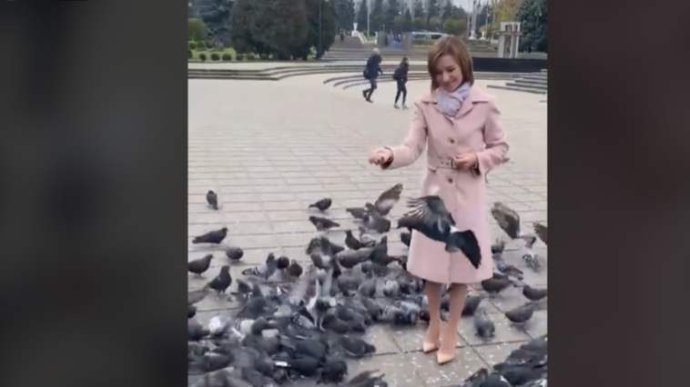 Photo of video | „Porumbeii n-au nicio vină”. Maia Sandu hrănește păsările din fața Catedralei