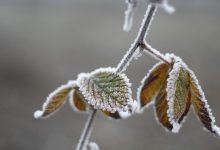 Photo of meteo | Temperaturile scad drastic. Prognozele meteorologilor pentru săptămâna ce urmează