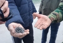 Photo of video | Obiecte ascuțite din metal, aruncate pe podul de la Sănătăuca. Mai multe mașini au rămas cu roțile sparte