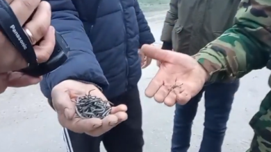 Photo of video | Obiecte ascuțite din metal, aruncate pe podul de la Sănătăuca. Mai multe mașini au rămas cu roțile sparte