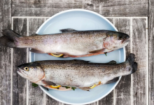 Photo of Cum te poate ajuta dieta pescetariană să rămai sănătos