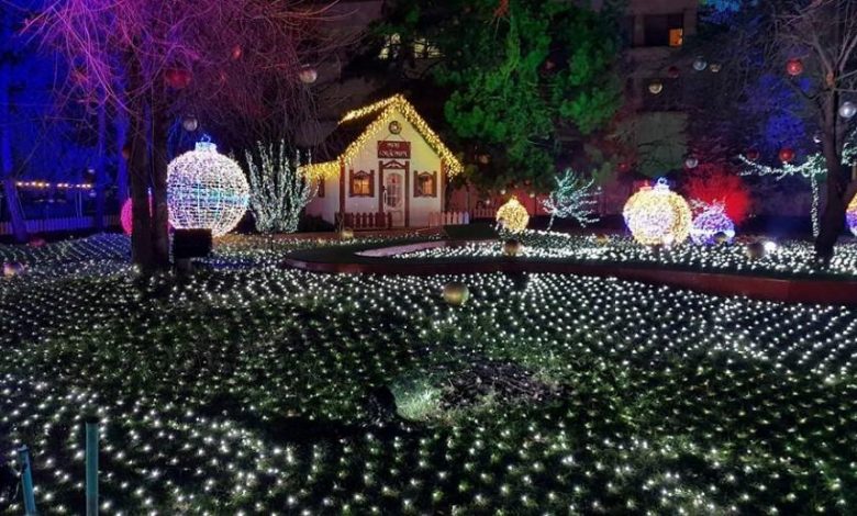 Photo of video | Sărbătorile de iarnă, mai triste din cauza pandemiei: Fără Târg de Crăciun și fără brad în fața Guvernului
