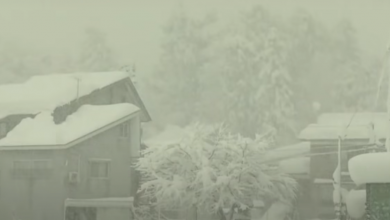 Photo of video | Ninsori abundente în Japonia. Nămeții ajung la doi metri, iar zeci de mii de oameni au rămas fără curent electric