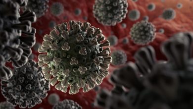 Photo of Un an de coronavirus: Cum a evoluat, timp de 12 luni, boala despre care omenirea auzea pentru prima dată