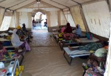 Photo of Epidemie de febră galbenă în Nigeria: Sute de persoane și-au pierdut viața