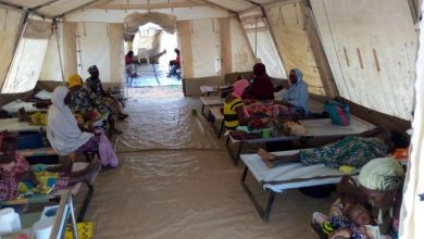 Photo of Epidemie de febră galbenă în Nigeria: Sute de persoane și-au pierdut viața