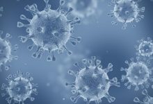 Photo of Noua tulpină de coronavirus: Numărul cazurilor a crescut cu 40% în două săptămâni, în Marea Britanie