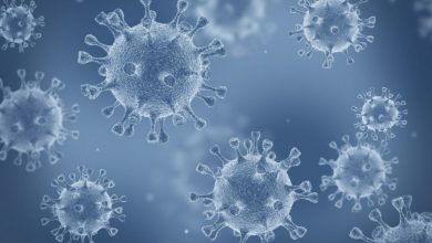 Photo of Noua tulpină de coronavirus: Numărul cazurilor a crescut cu 40% în două săptămâni, în Marea Britanie