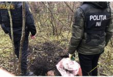 Photo of foto, video | Poliștii au dezgropat la Mileștii Mici un butoi cu… nouă kilograme de marijuana