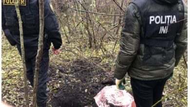Photo of foto, video | Poliștii au dezgropat la Mileștii Mici un butoi cu… nouă kilograme de marijuana