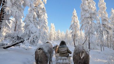 Photo of Elevii din Iakutsk, trimiși acasă din cauza temperaturilor de -50 de grade Celsius