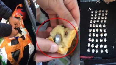 Photo of video | Momentul în care ofițerii fărâmițează o coptură și găsesc droguri. Pastilele psihotrope ajungeau în colete din UE