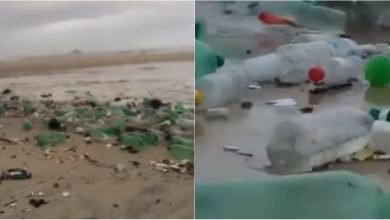 Photo of video | Oamenii poluează apele, iar valurile le întorc deșeurile. „Tsunami” din plastic, surprins pe o plajă din Brazilia