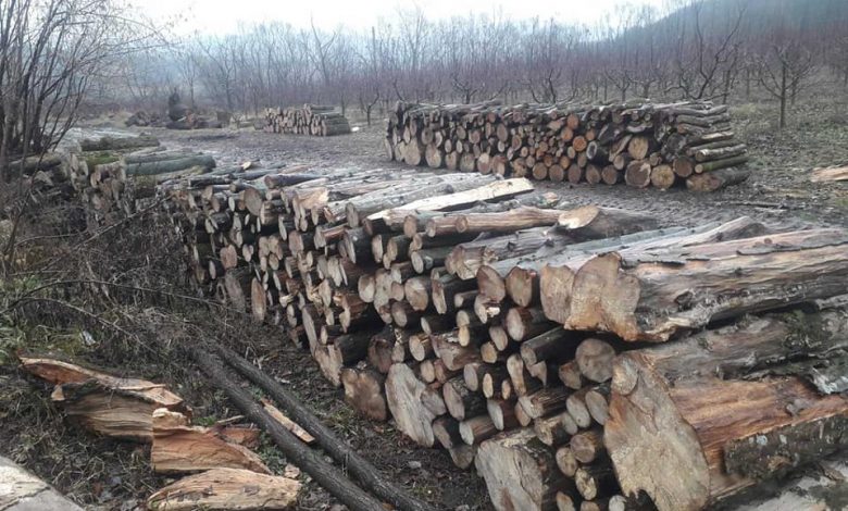 Photo of Guvernul va compensa cheltuielile de aprovizionare a populației cu lemn. Dispoziția, aprobată de CSE