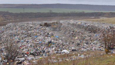 Photo of Municipalitatea a semnat un contract pentru sortarea a 190.000 de tone de deșeuri. Care sunt avantajele
